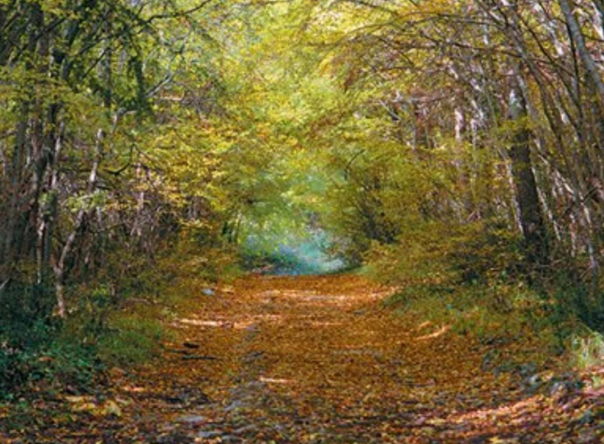 Kaiserwald PUY Eksteriør bilde