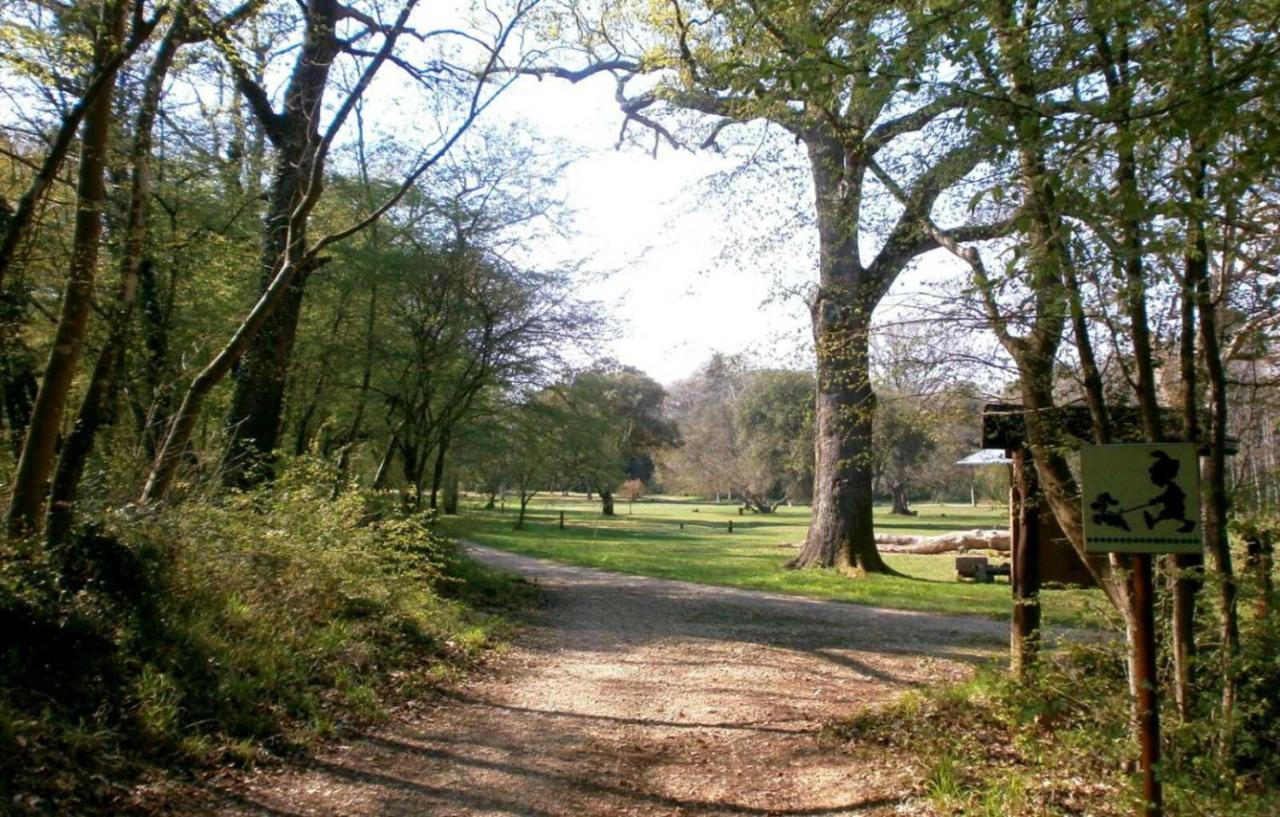 Kaiserwald PUY Eksteriør bilde